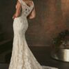 Casablanca C157 Sale - Afbeelding 2