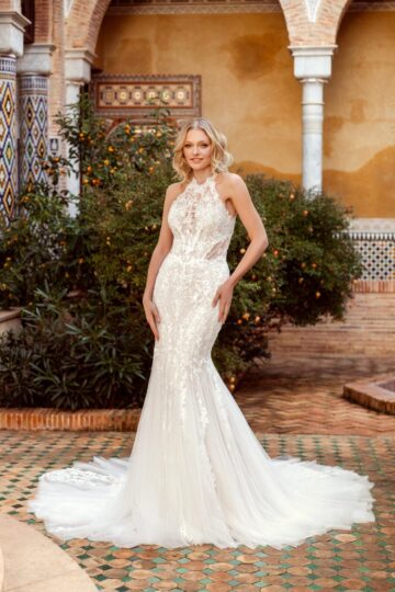 Daniela di Marino 6478